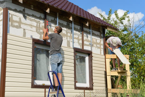 Best Stone Veneer Siding  in St Paul, NE